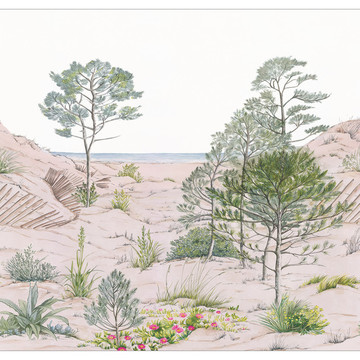 Sand Dune (paneeli - saatavilla 3 eri kokoa)