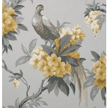 Golden Pheasant Smoke/Honey M1662