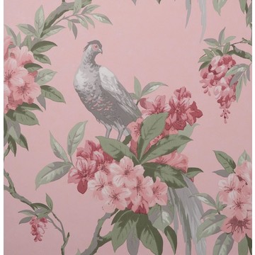 Golden Pheasant Blush M1665