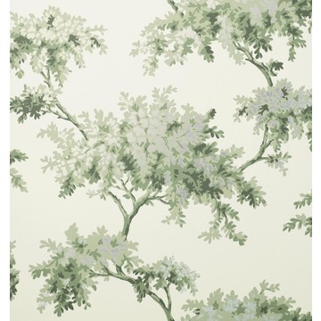 Ashdown Light Green M1674