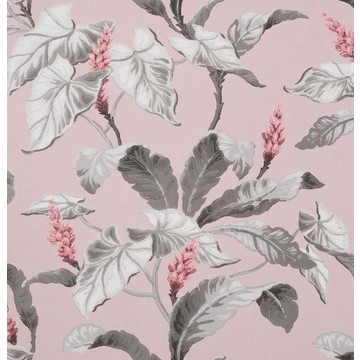 Meridian Parade Blush/Smoke M1690