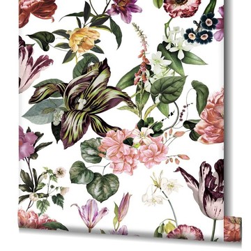 Flora Orchid 47458
