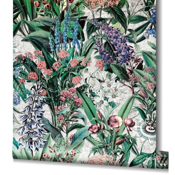 Flora Vegetal 47477