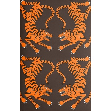 Tigers Tabby MISP1392