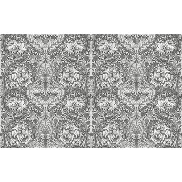 African Marigold Grey 125427 (paneeli)