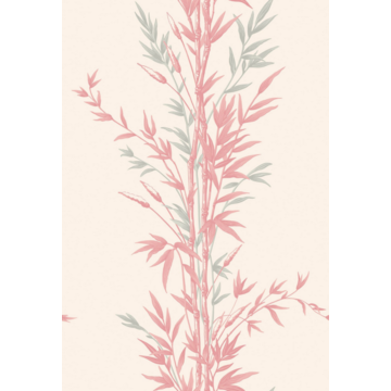Bamboo 100/5024