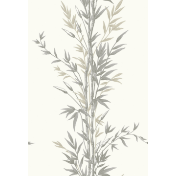 Bamboo 100/5025