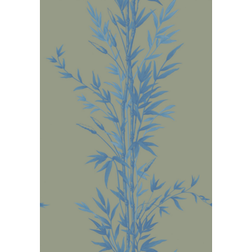 Bamboo 100/5026