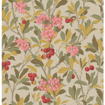 Strawberry Tree 100/10047