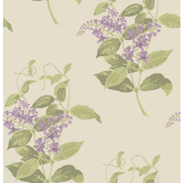 Madras Violet 100/12056