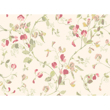 Sweet Pea 100/6028