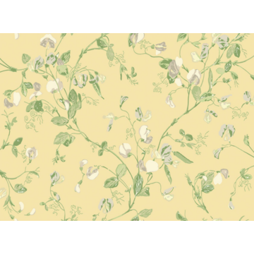 Sweet Pea 100/6029