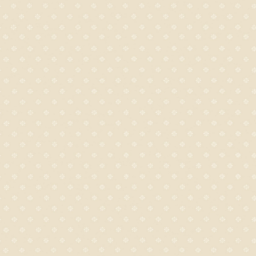 Screenshot 2024-11-25 at 17-22-56 VictorianStar_Image_Flatshot_Item_100-7036.jpg (JPEG-kuva 1502 × 1502 kuvapistettä) — Pienennetty (63 % alku – kopio