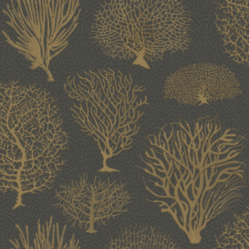 Seafern 107/2006