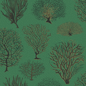 Seafern 107/2007