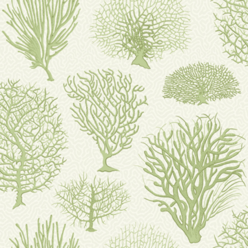 Seafern 107/2008