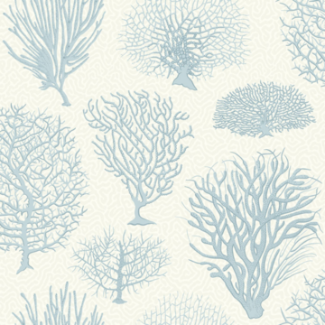 Seafern 107/2009