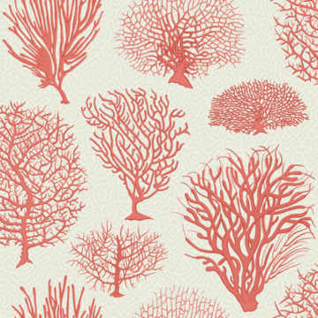 Seafern 107/2011