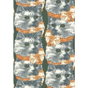 Crazy Cat Lady 1702
