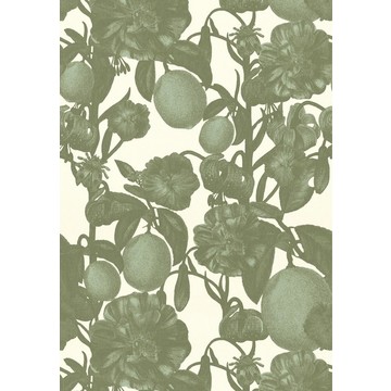 Firenze Green 1701
