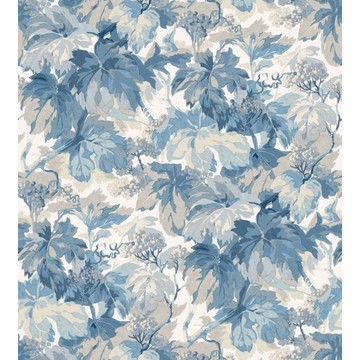 Country Walk Blue FG123/H101