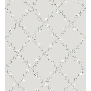 Ewa Grey 806-21