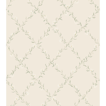 Ewa Sandstone S10457