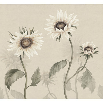 Sunflowers White S10529 (paneeli - tilattavissa myös m2)