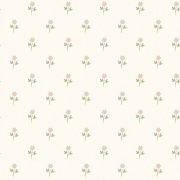 Anemone 6973