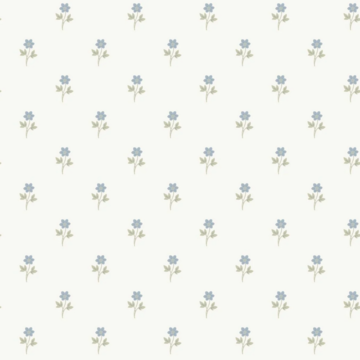 Anemone 6974