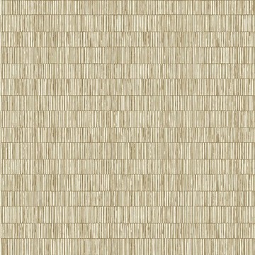 Boho Straw DWP0362-03