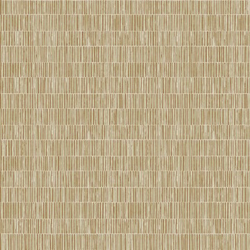 Boho Straw DWP0362-04