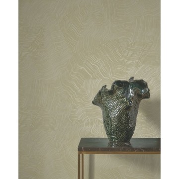 infusion EXIR 202027154 amb