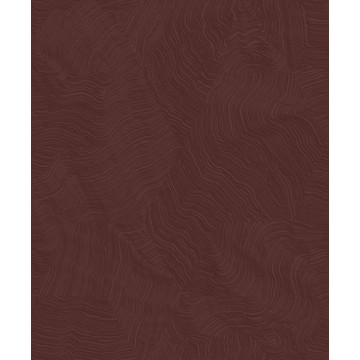 Infusion EXIR 20202 89 43