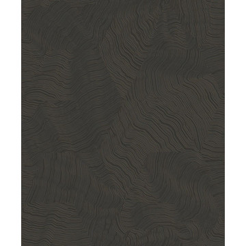 Infusion EXIR 20202 97 80