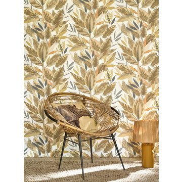 ficus RIOC 201811600 amb (2)