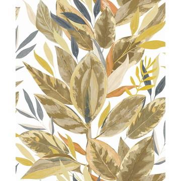 Ficus RIOC 20181 16 00