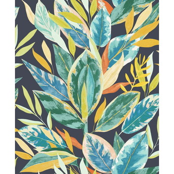 Ficus RIOC 20181 66 41