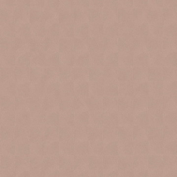 asterois SOLA 201884510