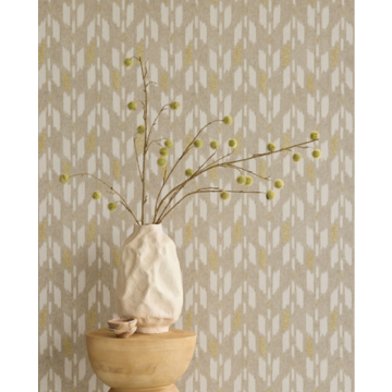 ethnic earth 340240 (2)