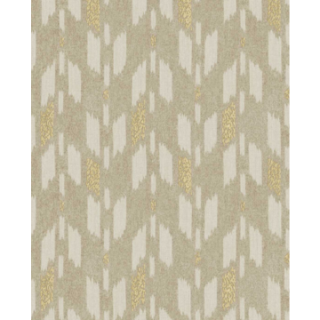 Ethnic Earth 340240