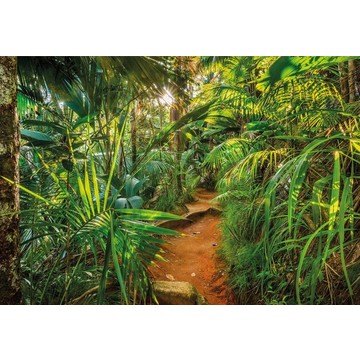 8-989_jungle_trail