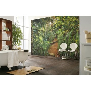 8-989_jungle_trail_interieur