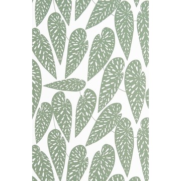 MISP1290-TROPICS-Foliage