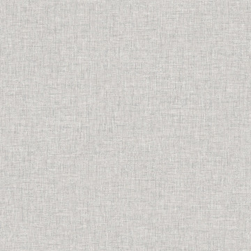 Linen Texture Grey 676006