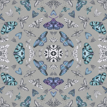 Glitter Bug Silver/Teal 692307