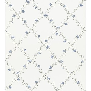 Ewa Blue 806-56