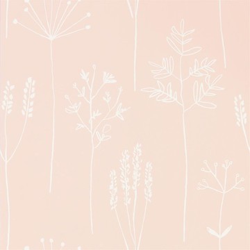 Stipa Blush 112018