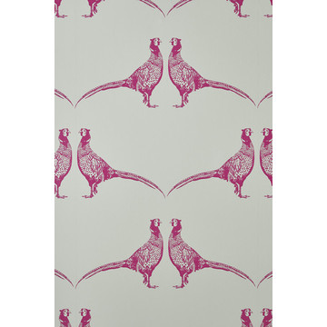 Pheasant Pink BG1500102