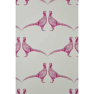 Pheasant Pink BG1500102